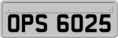 OPS6025