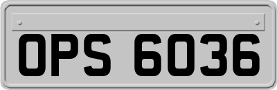 OPS6036