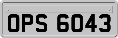 OPS6043