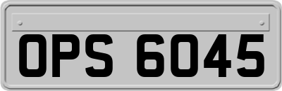 OPS6045