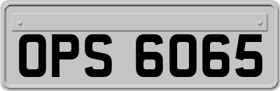 OPS6065