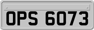 OPS6073