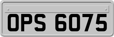 OPS6075