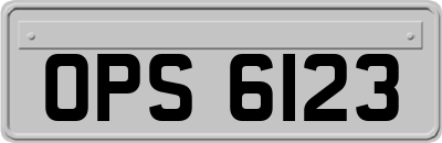 OPS6123