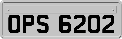 OPS6202
