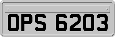 OPS6203