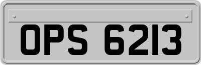 OPS6213