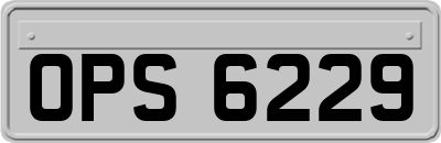 OPS6229