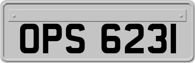 OPS6231