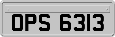 OPS6313