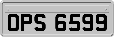 OPS6599