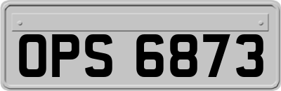 OPS6873
