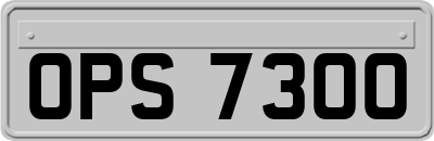OPS7300