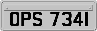 OPS7341