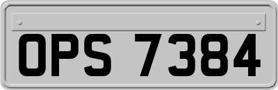 OPS7384