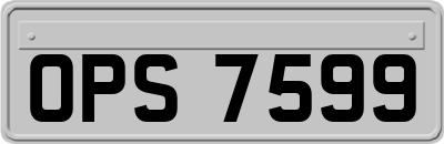 OPS7599