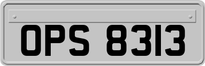 OPS8313