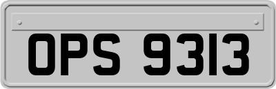 OPS9313