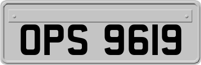 OPS9619