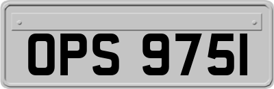 OPS9751
