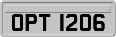 OPT1206