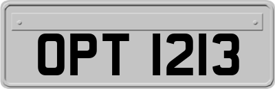 OPT1213