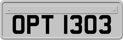 OPT1303