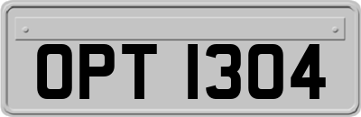 OPT1304