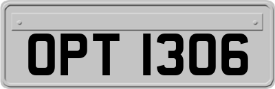 OPT1306