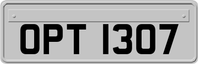OPT1307