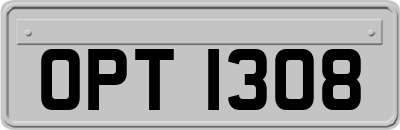 OPT1308