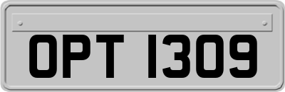 OPT1309