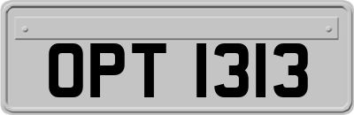 OPT1313