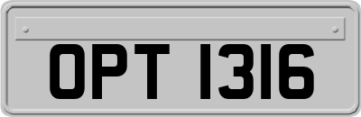 OPT1316