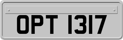 OPT1317