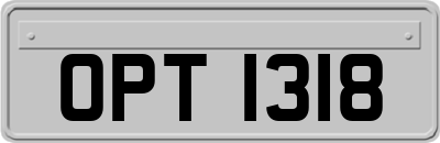 OPT1318