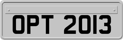OPT2013