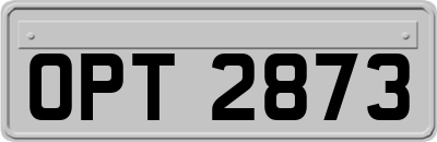 OPT2873