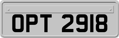 OPT2918