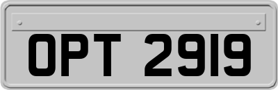 OPT2919