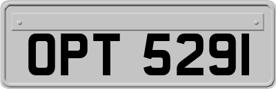 OPT5291