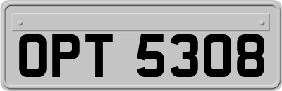 OPT5308