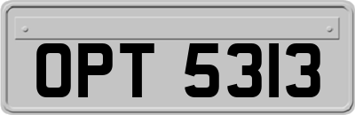 OPT5313