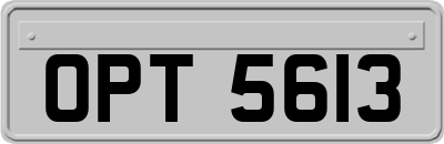 OPT5613