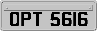 OPT5616