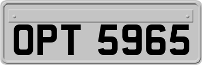 OPT5965