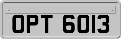 OPT6013
