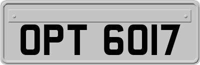 OPT6017