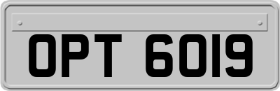 OPT6019