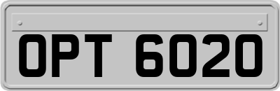 OPT6020